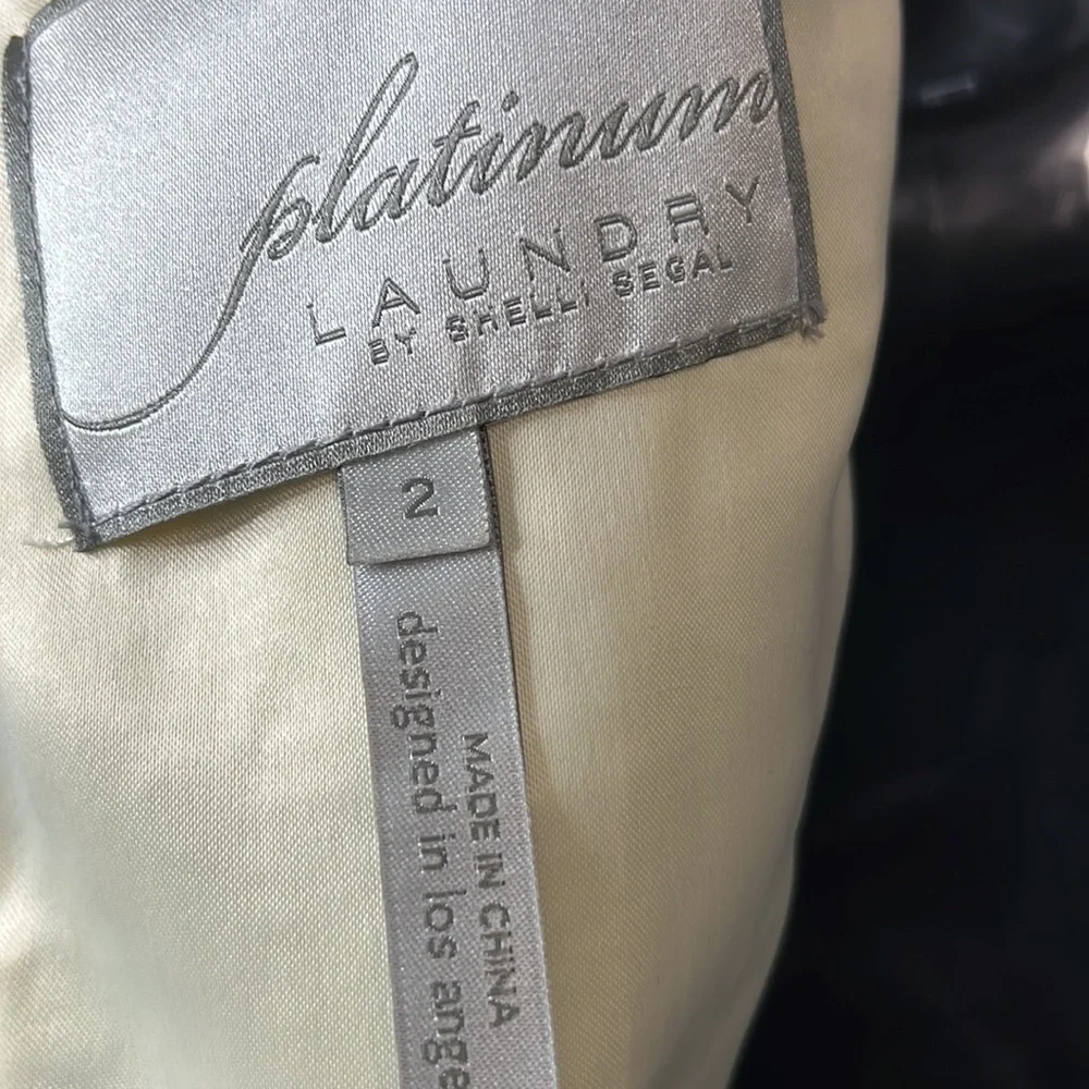 Platinum by Shelli Segal Formal Gown. Preowned - Picture 8 of 10